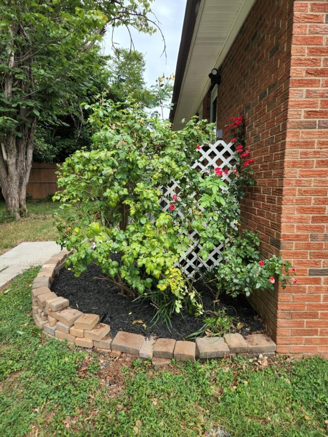 2Br 1Ba Duplex House King Beds Great For Small Groups Close To All Uptown Charlotte Attractions Exterior foto